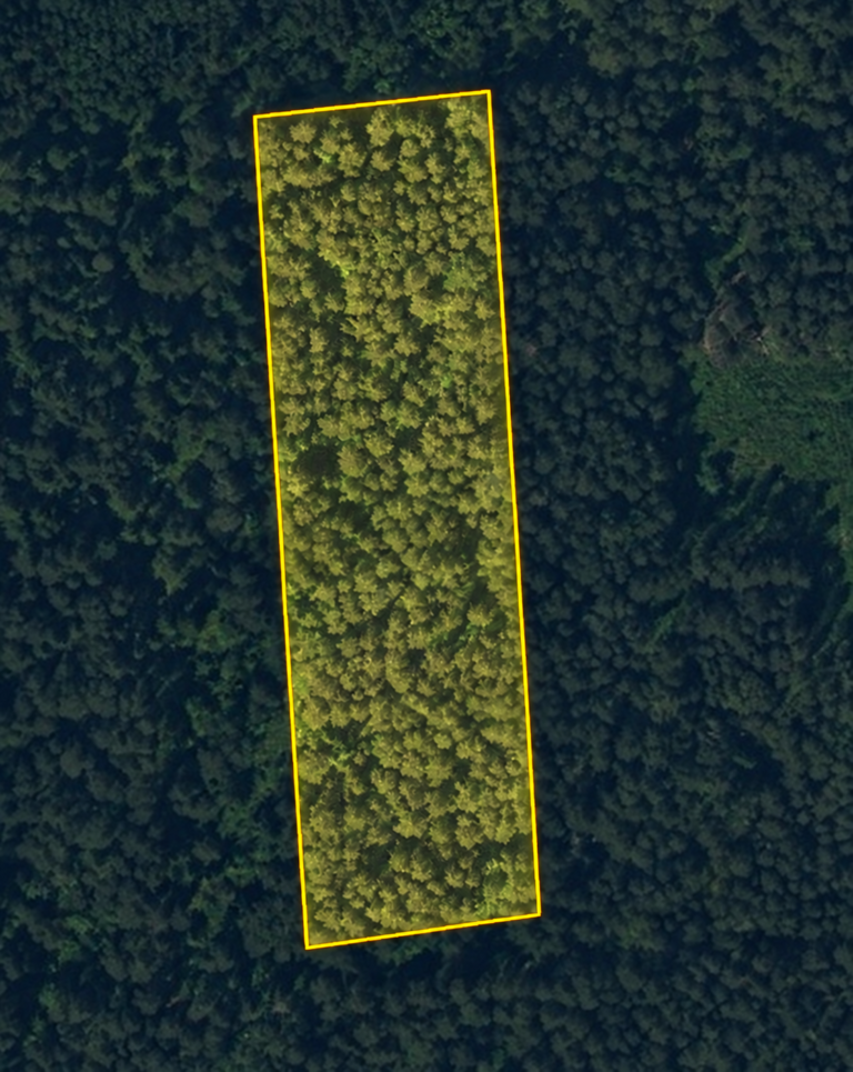 Gerviškių sen. · 0,85 ha