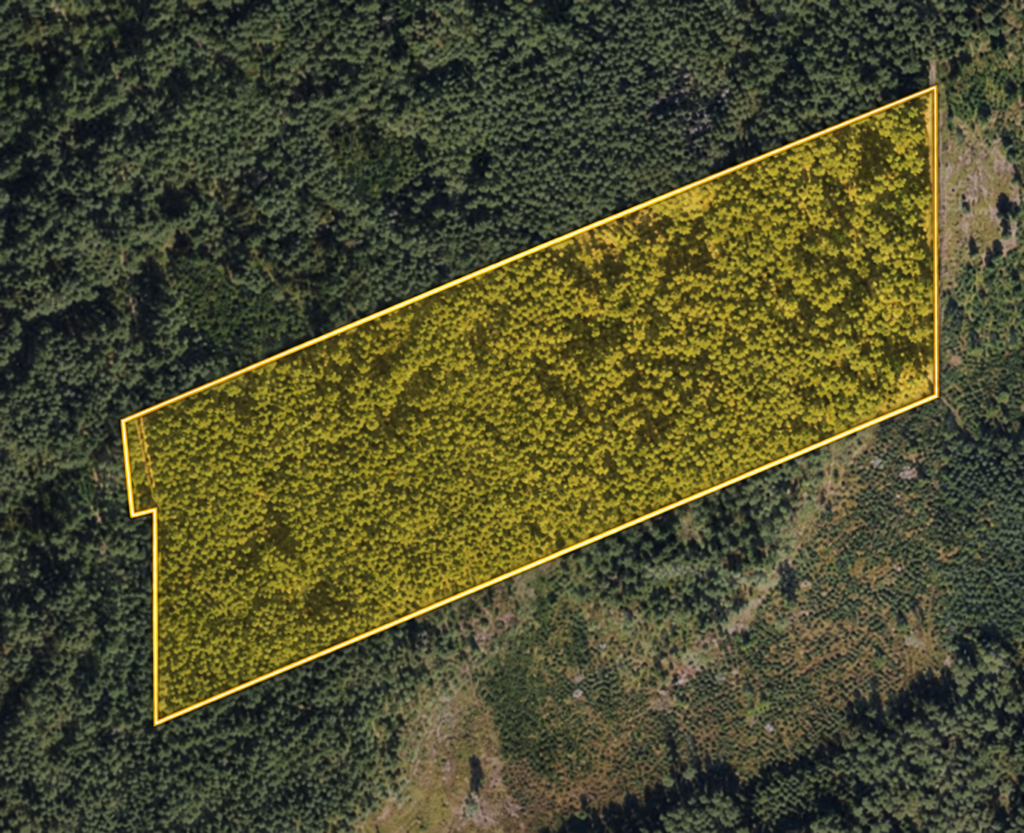 Bezdonių sen. · 6,25 ha