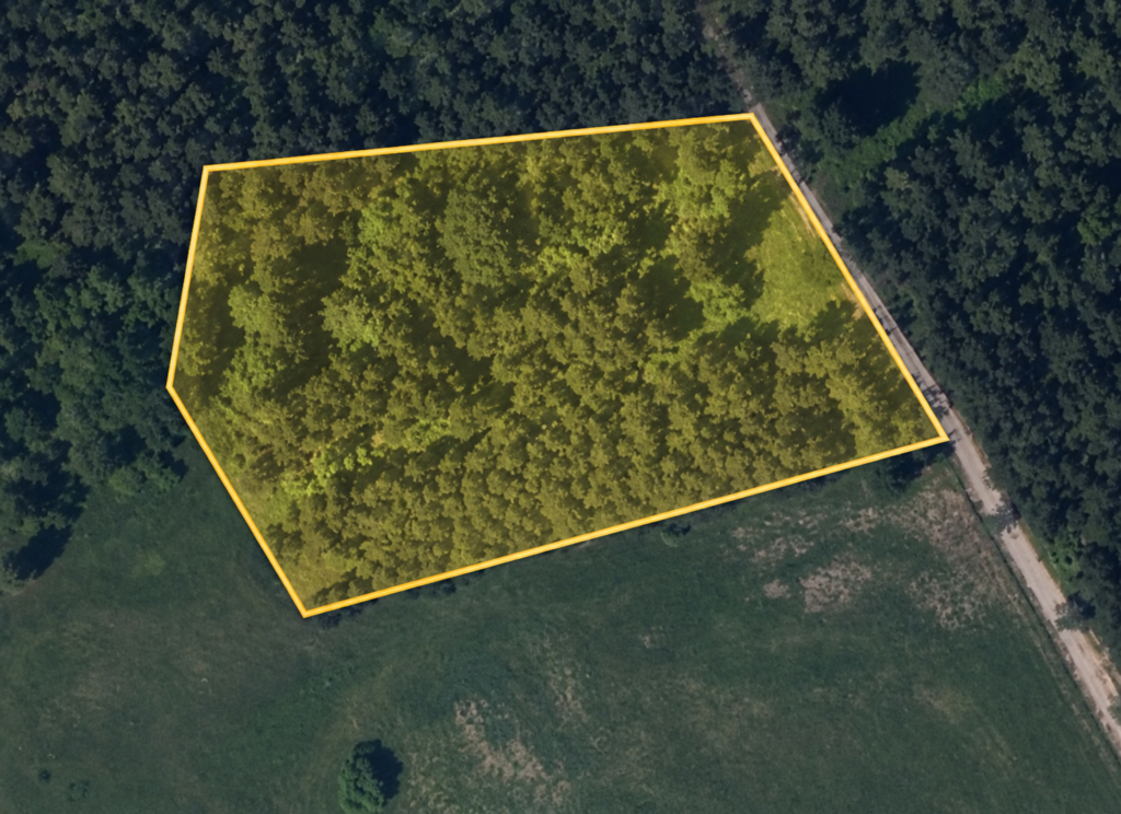 Baltosios Vokės sen. · 0,65 ha