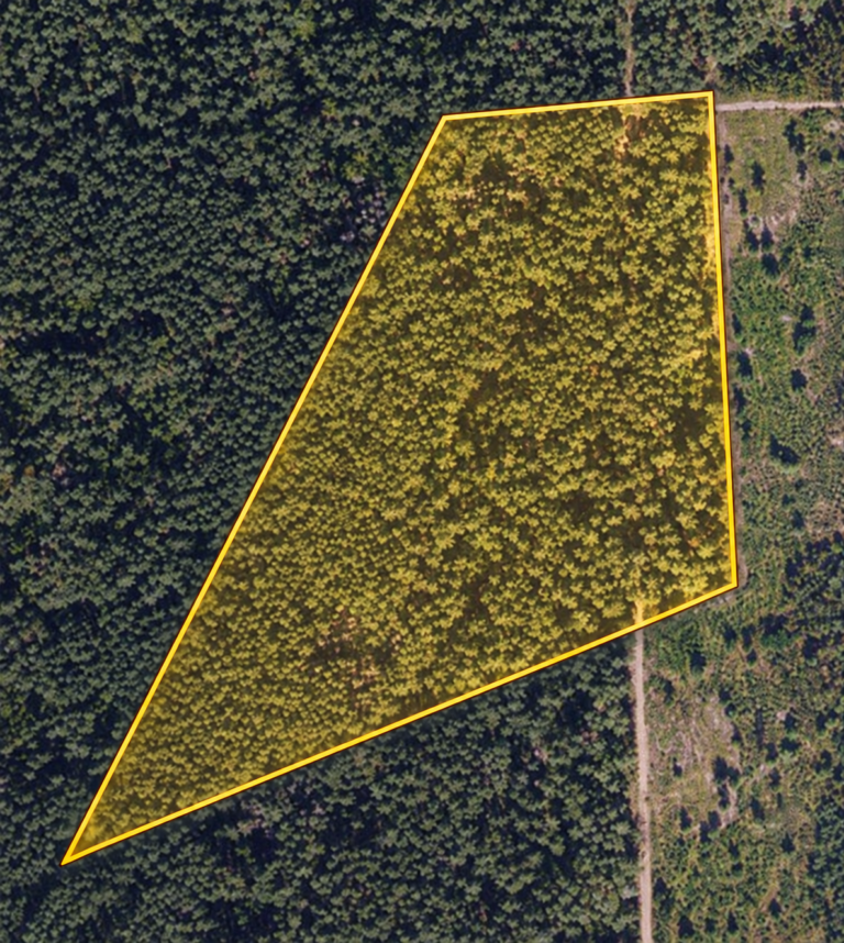 Bezdonių sen. · 4,05 ha